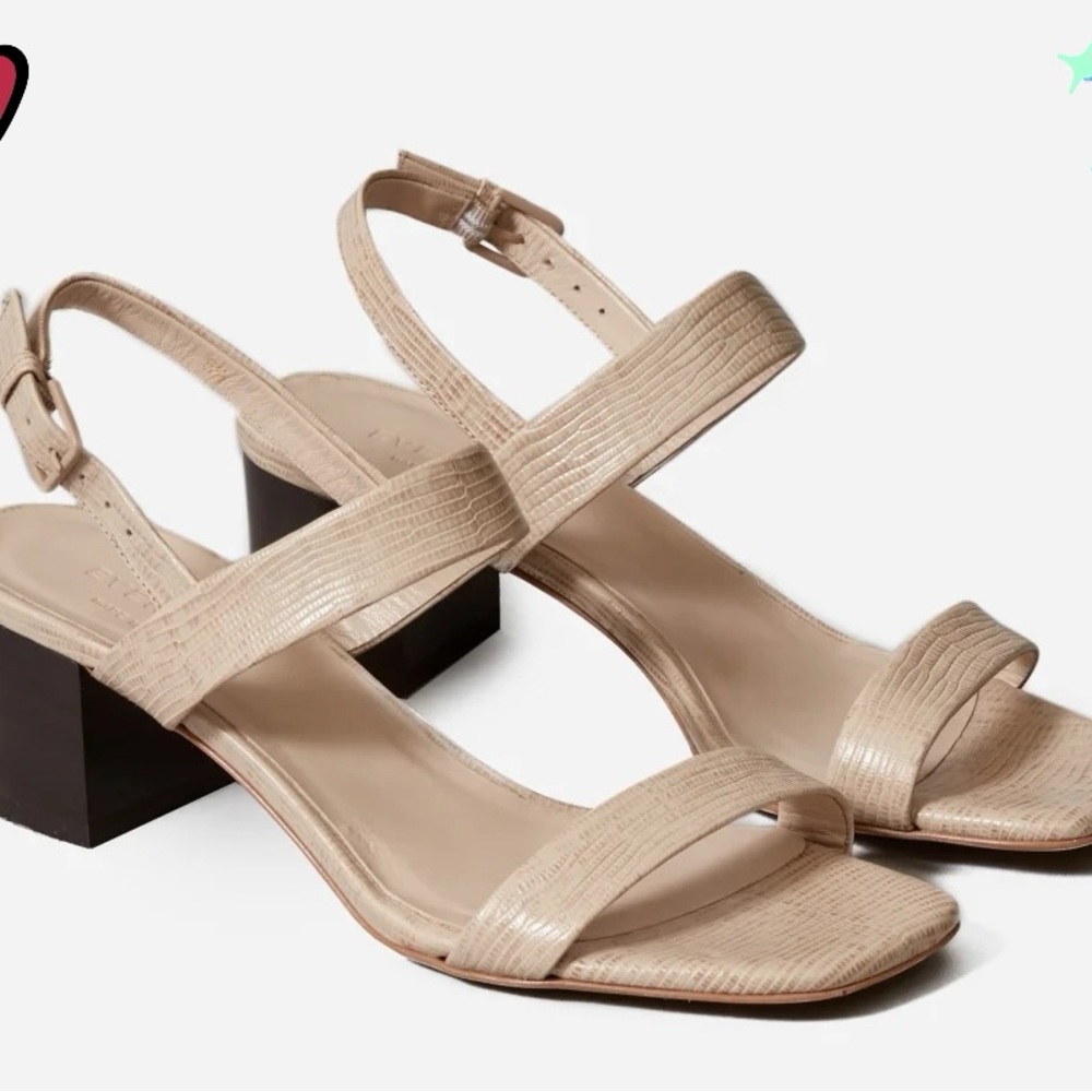 Genuine Italian Leather Everlane Sandals in neutral color.